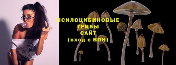 гашик Волоколамск