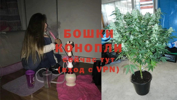 прущие крисы Вязьма