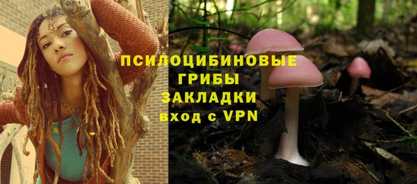 гашиш Вяземский
