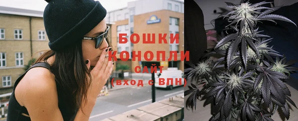 прущие крисы Вязьма